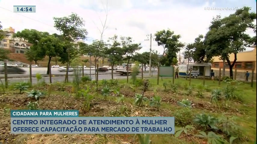Vídeo: Horta na avenida Antônio Carlos, em BH, garante cidadania a mulheres em situação de vulnerabilidade