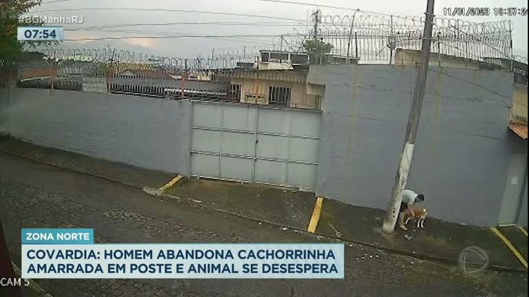 Vídeo: Homem abandona cadela amarrada em poste na zona norte do Rio