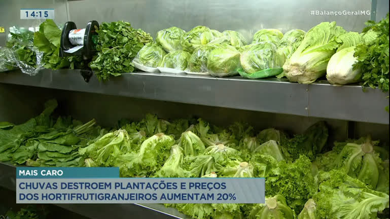 Vídeo: Chuvas destroem plantações e preços de hortifruti sobem 20% em Minas Gerais