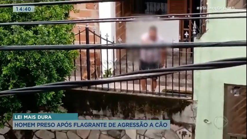 Vídeo: MG registra mais de 3.000 casos de maus-tratos aos animais em Minas Gerais