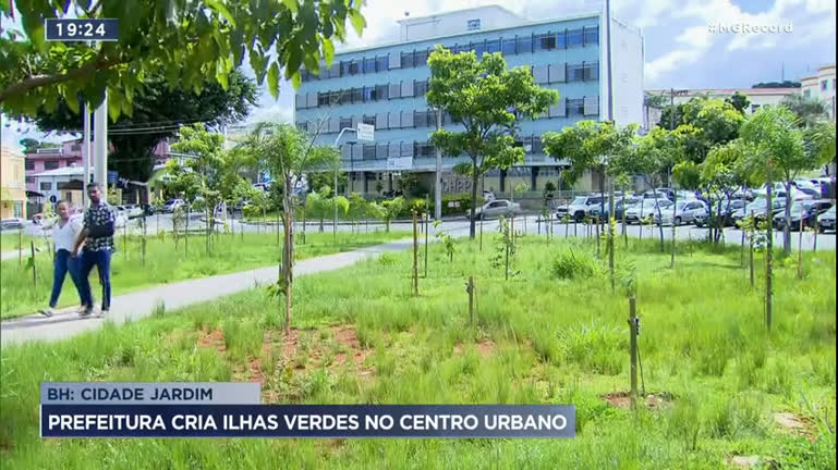 Vídeo: Prefeitura de Belo Horizonte investe em plantio de árvores para aumentar áreas verdes da cidade