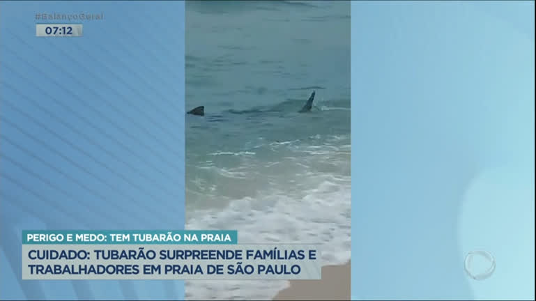 Vídeo: Tubarão encalha e deixa banhistas assustados no litoral paulista