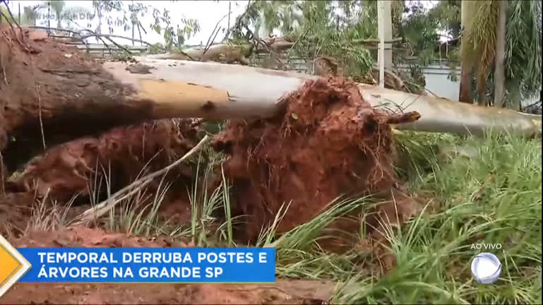 Vídeo: Temporal atinge região metropolitana de SP e causa queda de árvores e postes