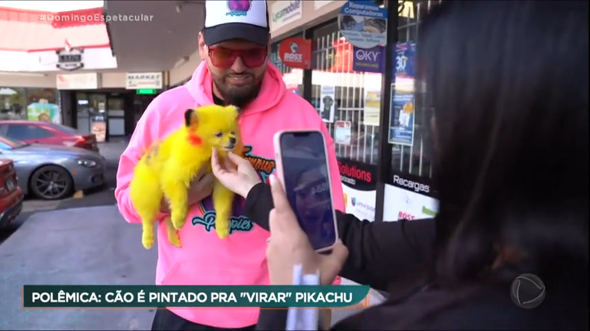 Tosador gera polêmica ao pintar cães para transformar visual dos animais -  RecordTV - R7 Balanço Geral