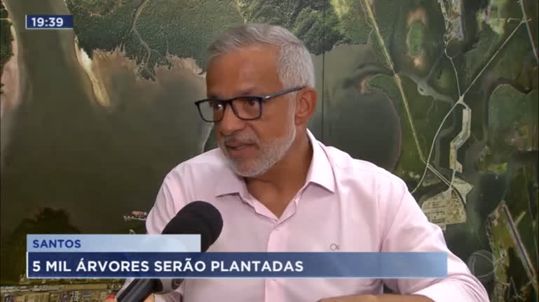 Vídeo: Mais de 5 mil árvores serão plantadas na cidade de Santos