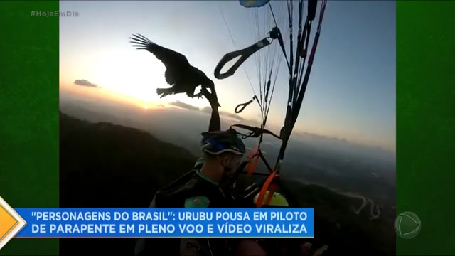 Vídeo: Personagens do Brasil : Urubu voa junto com piloto de parapente e vídeo bomba na internet