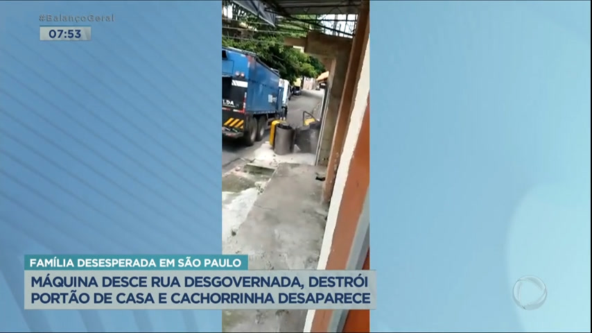 Vídeo: Máquina desce rua desgovernada, destrói portão e cachorrinha desaparece