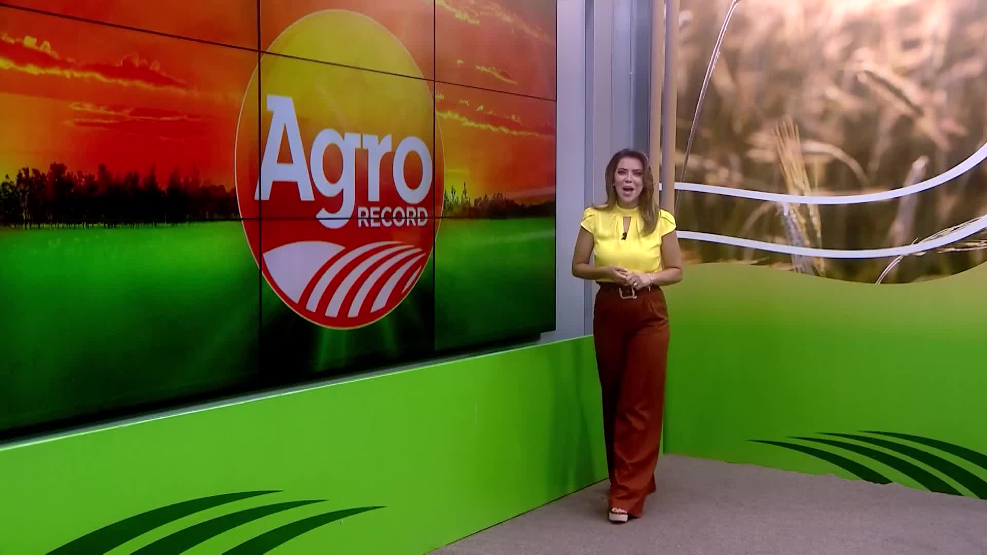 Vídeo: Veja a íntegra do Agro Record deste domingo (22)