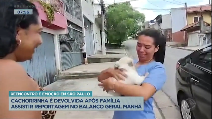 Vídeo: Cachorrinha é devolvida após família ver reportagem no Balanço Geral Manhã