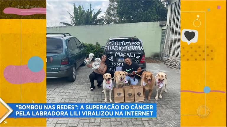 Vídeo: Cachorrinha vence o câncer e história de superação viraliza na internet