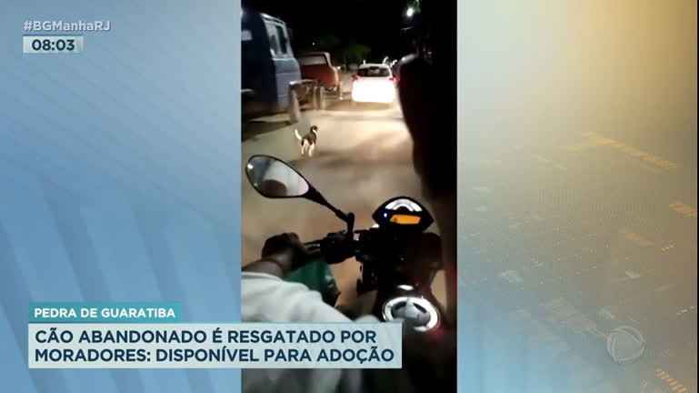 Vídeo: Cachorro abandonado é resgatado por moradores no Rio