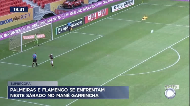 Vídeo: Palmeiras e Flamengo se enfrentam neste sábado no Mané Garrincha
