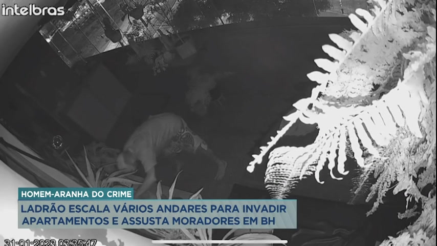 Vídeo: Ladrão escala prédio e invade apartamentos na Praça Raul Soares, em BH