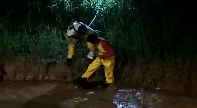 Vídeo: Vídeo mostra como ocorreu o resgate de cachorro que ficou atolado em lama por dois dias