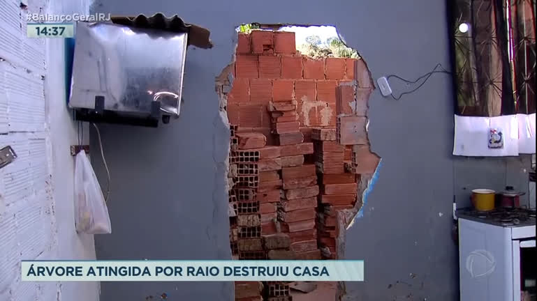 Vídeo: Árvore atingida por raio destrói casa em Campo Grande