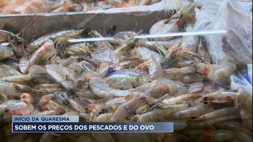 Vídeo: Preço de peixes e ovos sobem com início da quaresma