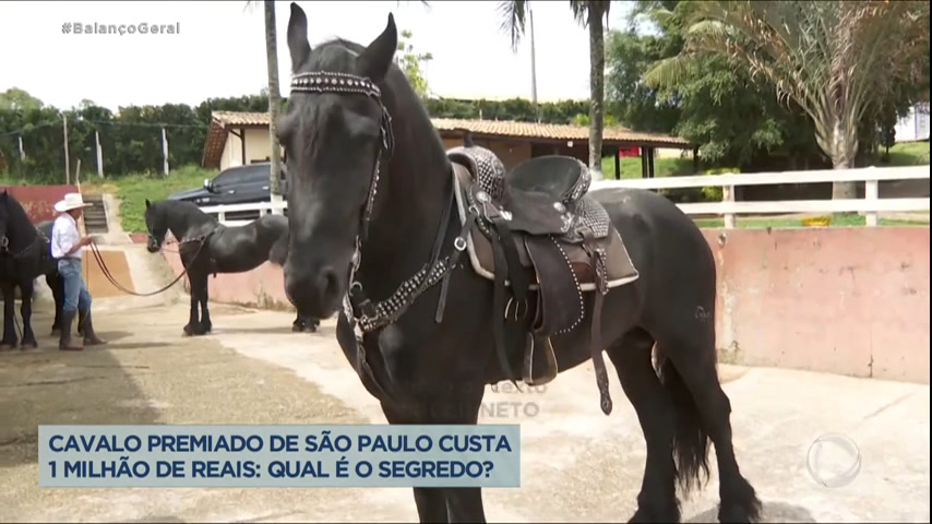 Jogos de Cavalos: Conheça os Mais Populares do Mercado