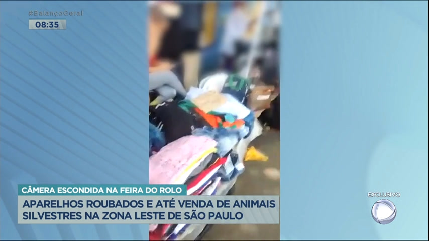 Vídeo: Câmera escondida flagra venda de produtos roubados e animais silvestres na feira do rolo