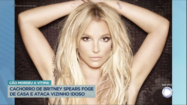 Vídeo: Doberman de Britney Spears foge, persegue pessoas e morde idoso