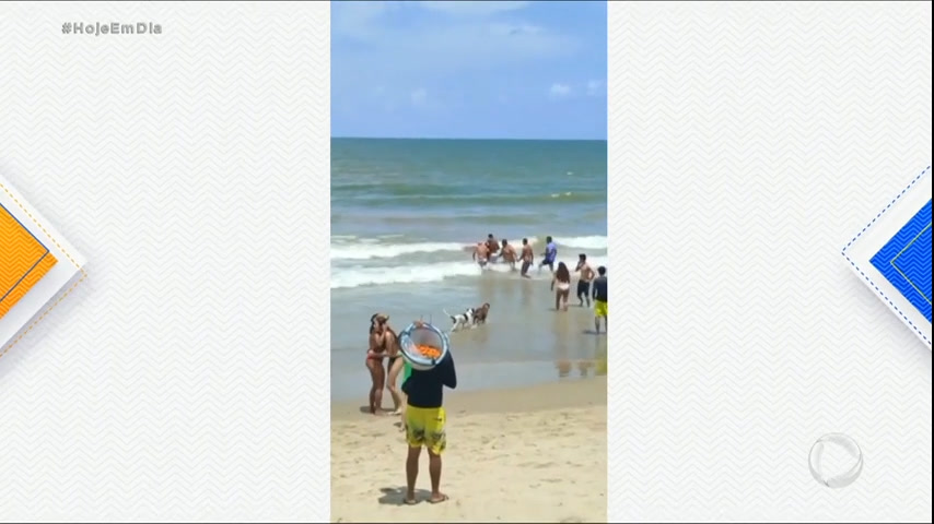 Vídeo: Ataque de tubarão deixa jovem em estado grave na Grande Recife