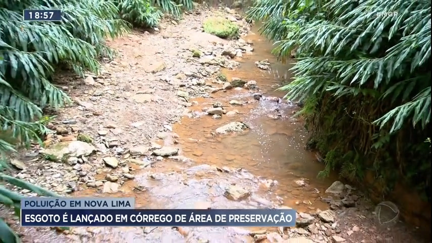 Vídeo: Esgoto é lançado em córrego de área de preservação em Nova Lima, na Grande BH