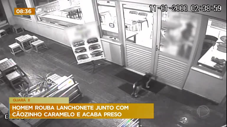 Vídeo: Homem rouba lanchonete com cachorro e é preso