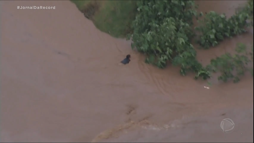 Vídeo: Homem desaparece após ser arrastado pela água da chuva na Grande São Paulo