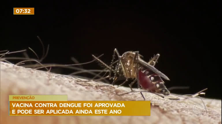 Vídeo: Vacina contra a dengue é aprovada e pode ser aplicada ainda este ano