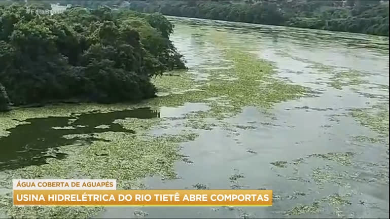 Vídeo: Usina hidrelétrica de Barra Bonita (SP) abre comportas para ajudar em escoamento de aguapés