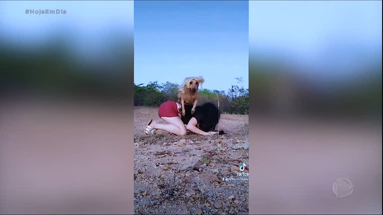 Vídeo: Personagens do Brasil: paraibana faz sucesso nas redes ao lado de sua vira-lata
