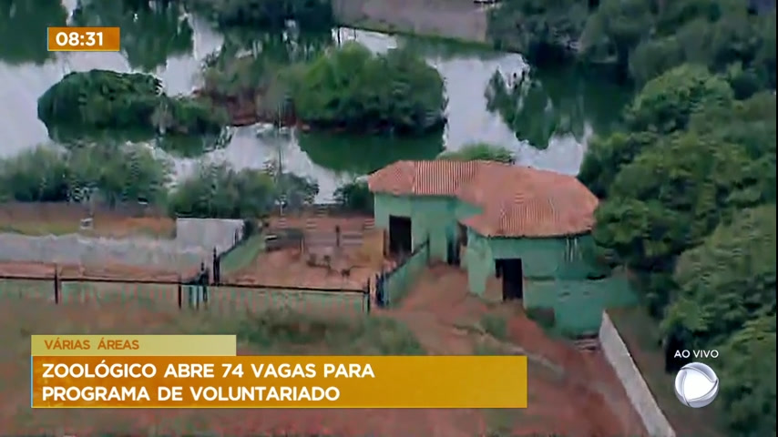 Vídeo: Estão abertas as inscrições para o programa voluntariado do Zoológico de Brasília