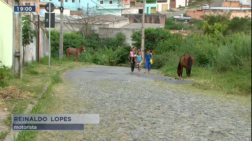 Vídeo: Alunos se arriscam em rua sem calçada para chegar em escola de Ribeirão das Neves (MG)