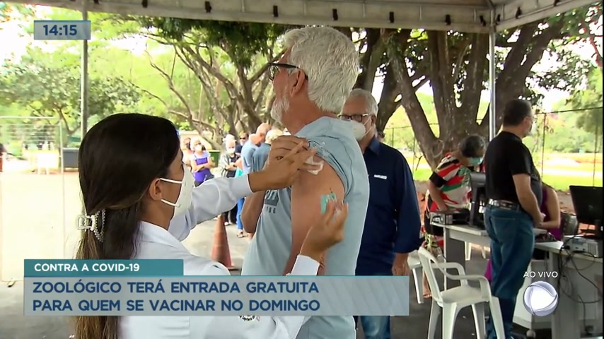 Vídeo: Zoológico terá entrada gratuita para quem se vacinar contra Covid