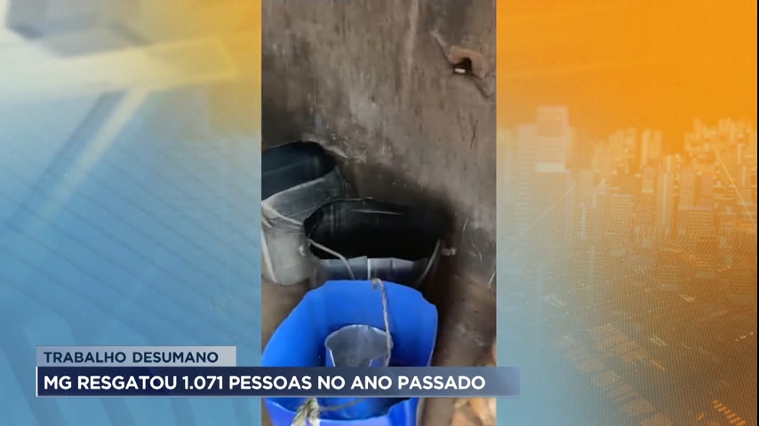 Vídeo: Minas Gerais resgatou 1.071 pessoas trabalhando em condição análoga à escravidão