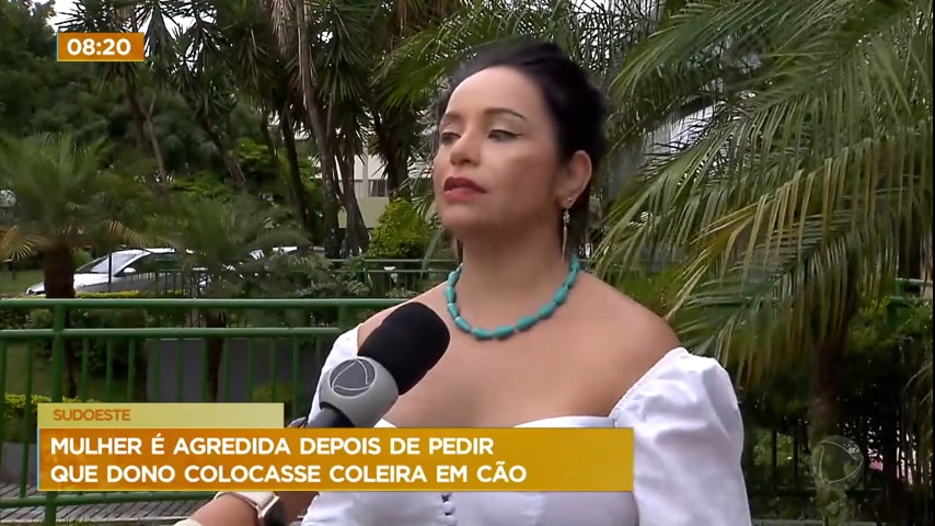 Vídeo: Mulher é agredida depois de pedir para dono de cão colocar coleira no animal