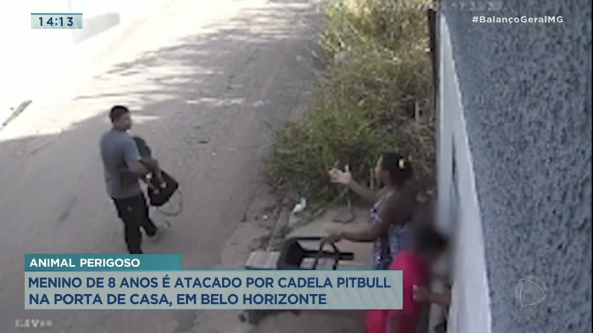 Vídeo: Menino de oito anos é atacado por cadela Pitbull na porta de casa, em BH