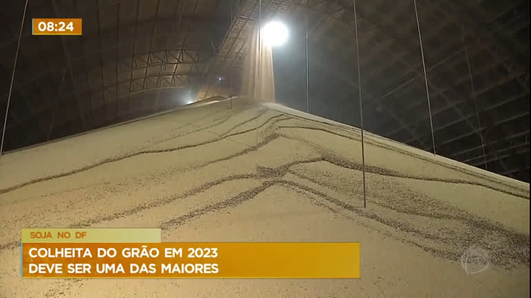 Vídeo: Colheita de soja no DF deve ser uma das maiores em 2023, segundo Conab