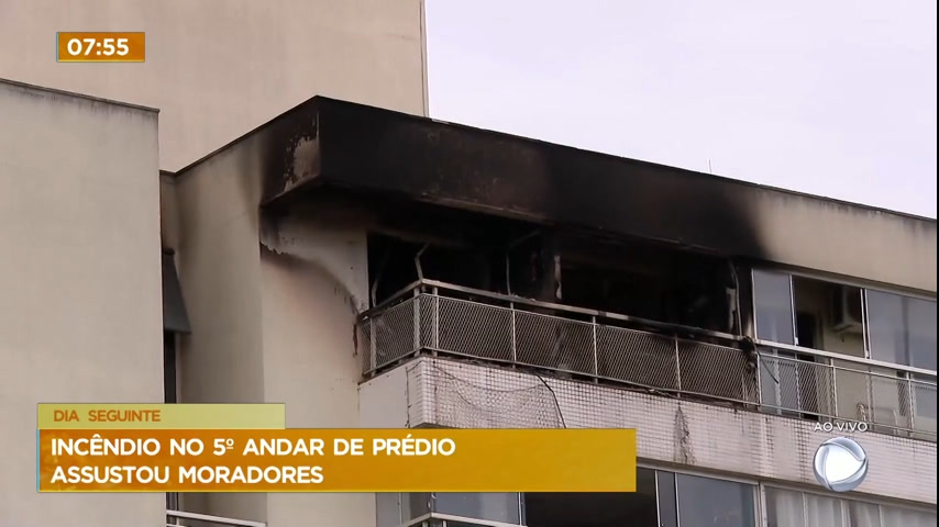 Vídeo: Gato e cachorro morrem após inalar fumaça durante incêndio no Guará (DF)
