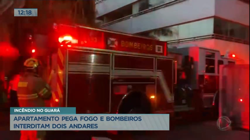 Vídeo: Dois animais morrem após inalar fumaça durante incêndio no Guará (DF)
