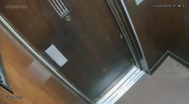 Vídeo: Câmera de segurança de elevador registra momento em que homem chuta cachorro