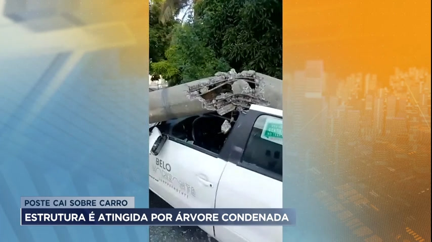 Vídeo: Poste é atingido por árvore condenada e cai sobre carro em BH