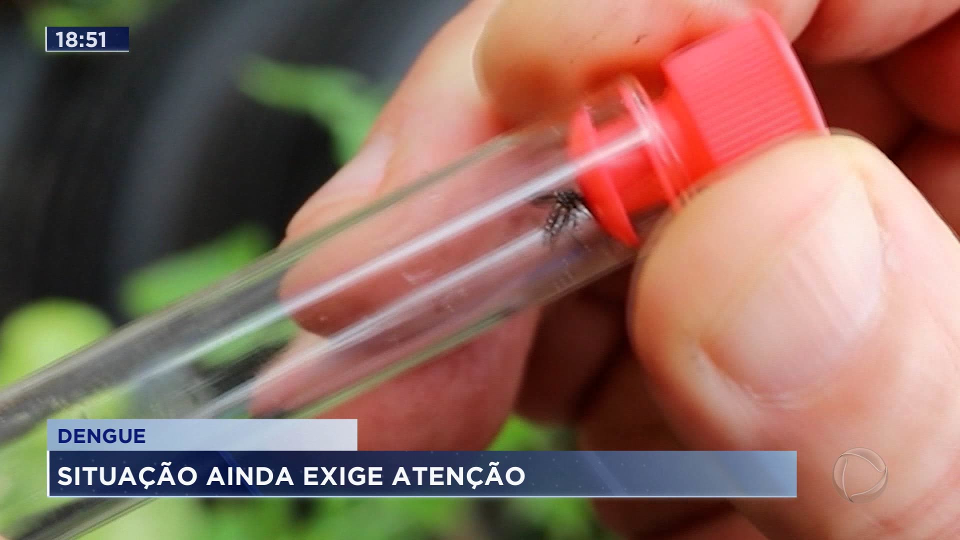 Vídeo: Alerta para aumento dos casos de dengue