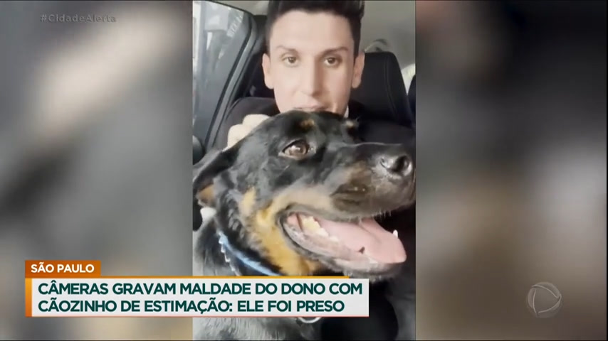 Vídeo: Cãozinho que sofria maus-tratos é resgatado