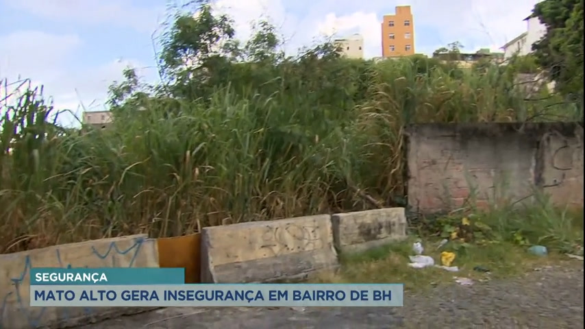 Vídeo: Mato alto gera transtornos para população do bairro Lagoinha, em BH