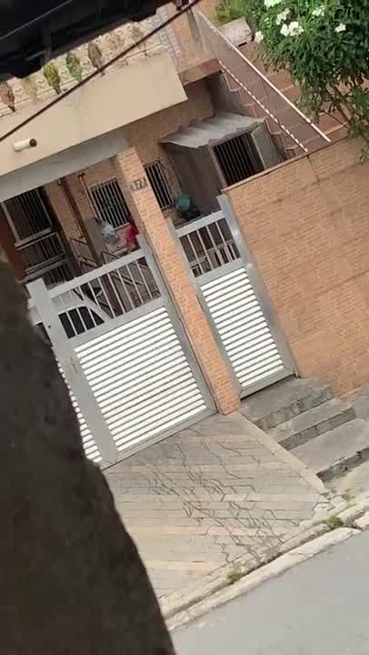 Vídeo: Vídeo mostra mulher espancando cachorros em bairro nobre de SP
