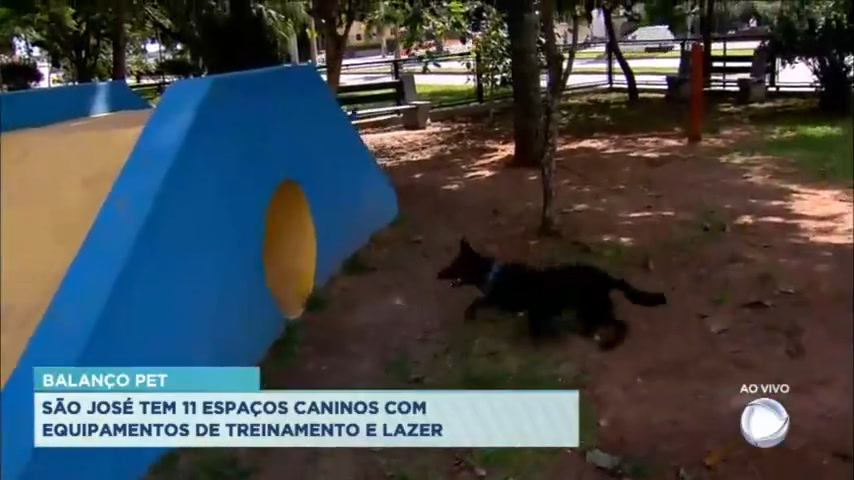 Vídeo: São José tem 11 espaços caninos