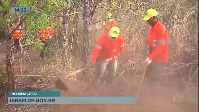 Vídeo: Instituto Brasília Ambiental abre curso para brigadista