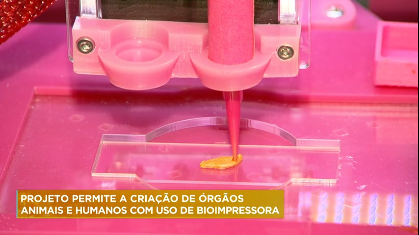 Vídeo: Projeto da UFMG permite criação de órgãos animais e humanos através de impressora 3D