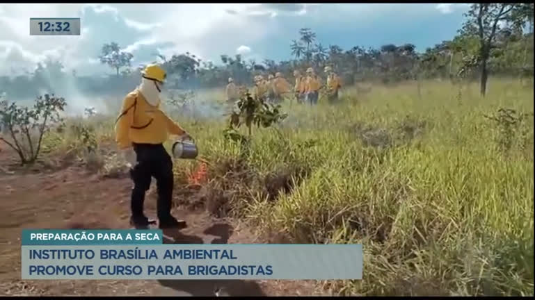 Vídeo: Instituto Brasília Ambiental promove curso para brigadistas