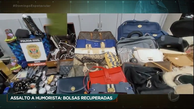 Vídeo: Bolsas roubadas da mansão de Ceará e Mirella são recuperadas; polícia desconfia de esquema